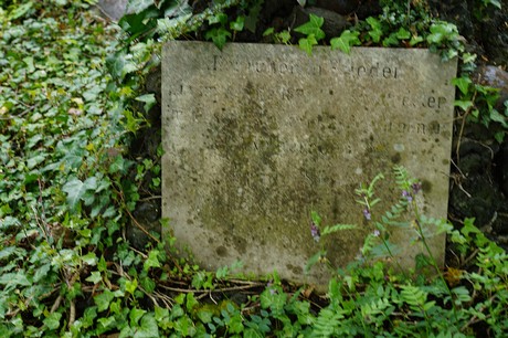 Bad Godesberg